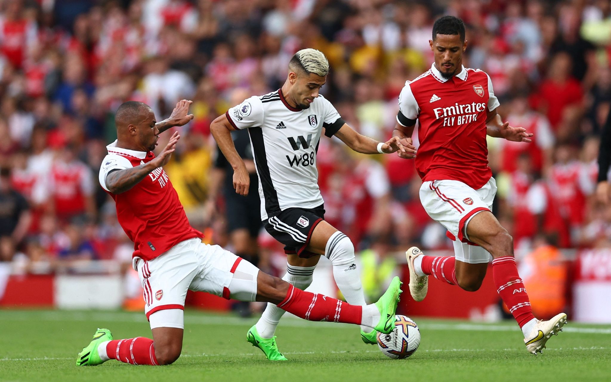 生涯的黄金 生涯的黄金